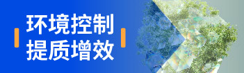 現代化服務(wù)