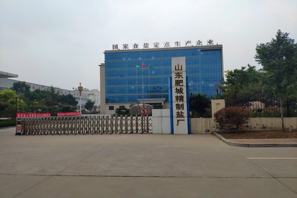 山東肥城精制鹽廠(chǎng)有限公司 能耗在線(xiàn)監測案例